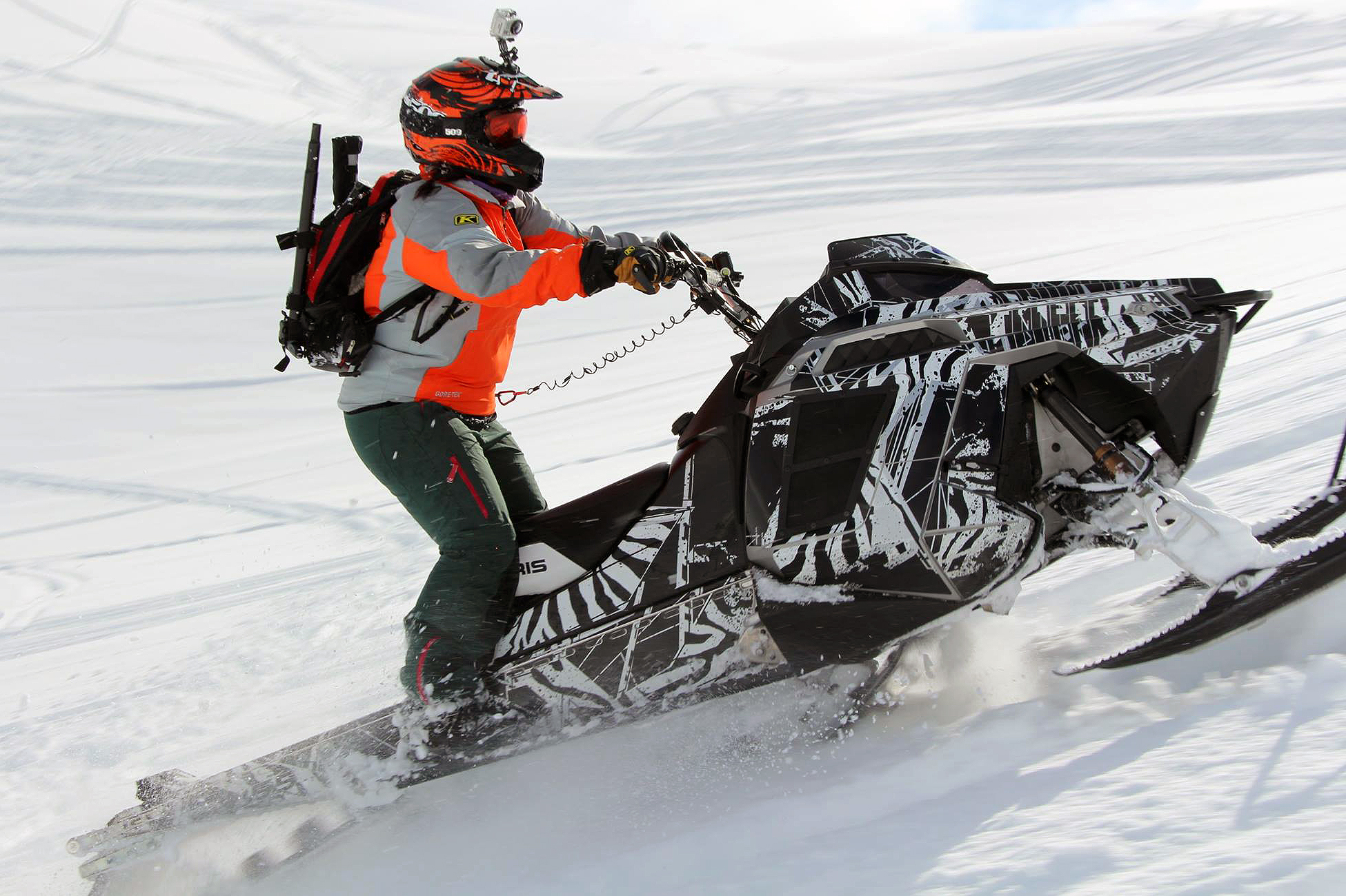 A Polaris Pro-Ride snowmobile with a white and black Carnivore custom vinyl wrap.